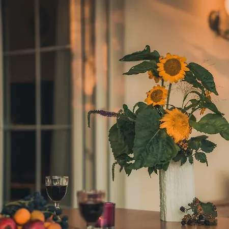 아파트 Coraline -koblach, 6-10 P, 3 Schlafzimmer, Kueche, Riesige Terrasse, Parkplatz, Wifi, Stellplatz