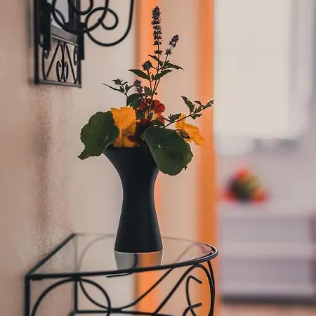 Coraline -koblach, 6-10 P, 3 Schlafzimmer, Kueche, Riesige Terrasse, Parkplatz, Wifi, Stellplatz Appartement Koblach