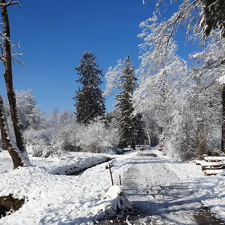 Coraline -koblach, 6-10 P, 3 Schlafzimmer, Kueche, Riesige Terrasse, Parkplatz, Wifi, Stellplatz Koblach