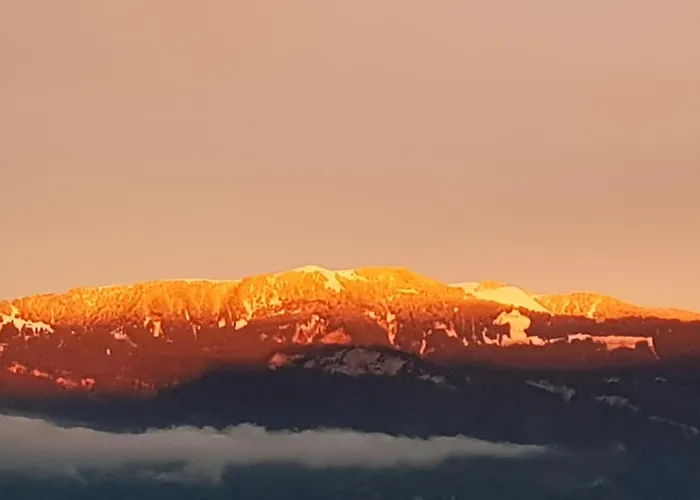 Coraline -koblach, 6-10 P, 3 Schlafzimmer, Kueche, Riesige Terrasse, Parkplatz, Wifi, Stellplatz * Koblach