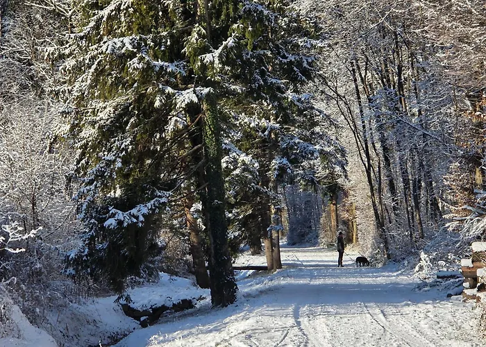 Coraline -koblach, 6-10 P, 3 Schlafzimmer, Kueche, Riesige Terrasse, Parkplatz, Wifi, Stellplatz Lägenhet Koblach