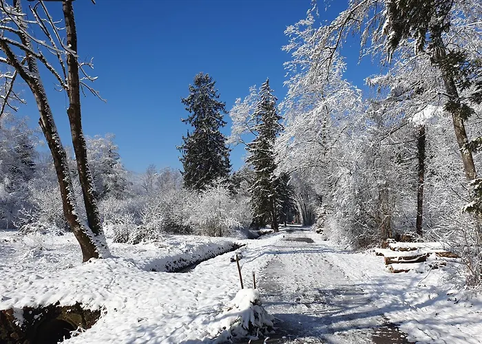 Coraline -koblach, 6-10 P, 3 Schlafzimmer, Kueche, Riesige Terrasse, Parkplatz, Wifi, Stellplatz Koblach